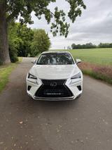 Lexus NX 300 300h E-FOUR - Launch Edition - Lexus NX 300 Gebrauchtwagen