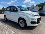 Fiat Panda Pop Sportsitze Sport Lenkrad - scheckheftgepflegte Fiat Panda