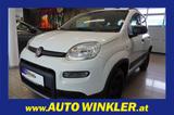 Fiat Panda  TwinAir 85 4x4 Wild Klima/PDC - Fiat Panda: Twinair