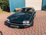 Jaguar XJS Cabrio 4.0 Autom, 2+2, 2. Hand, H-Zul.  - Jaguar XJS mit Benzin-Antrieb: Cabrio