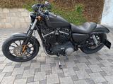 Harley-Davidson XL 883 Iron - Offers