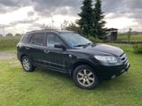 Hyundai SANTA FE 2.2 CRDi GLS 4WD GLS - Hyundai SANTA FE aus 2006: Gls