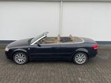 Audi A4 Cabriolet 3.0 TDI quattro / LEDER / NAVI - Audi A4 aus 2008: 3.0