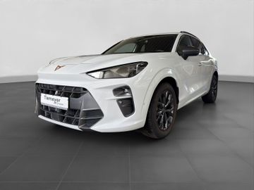 Cupra Terramar - 2