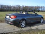 BMW 220d Cabrio Advantage Xenon Navi M Felgen - BMW 2er-Reihe F22 mit Diesel-Antrieb