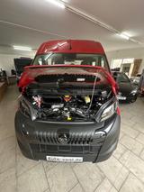 Peugeot Boxer - rote Peugeot Boxer