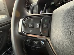 Fahrzeugabbildung Dodge RAM 1500 Limited Night GRAIL Klappe 12x22  V8  !