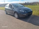 Fiat Punto 1.3 16V Multijet Start&Stopp LOUNGE - Fiat Punto Gebrauchtwagen in Stuttgart