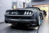 Ford Mustang GT 5.0 V8 Aut. EU Mod. Klappenaus. - Ford Mustang mit Benzin-Antrieb: Cabrio, 5.0