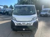 Fiat Ducato 33 L2H1 AHK CarPlay RüKa Allwetter Klima - Fiat Ducato Neuwagen