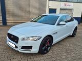 Jaguar XF 25t R-Sport Automatik * Scheckheft - gebrauchte Jaguar XF aus dem Jahr 2019