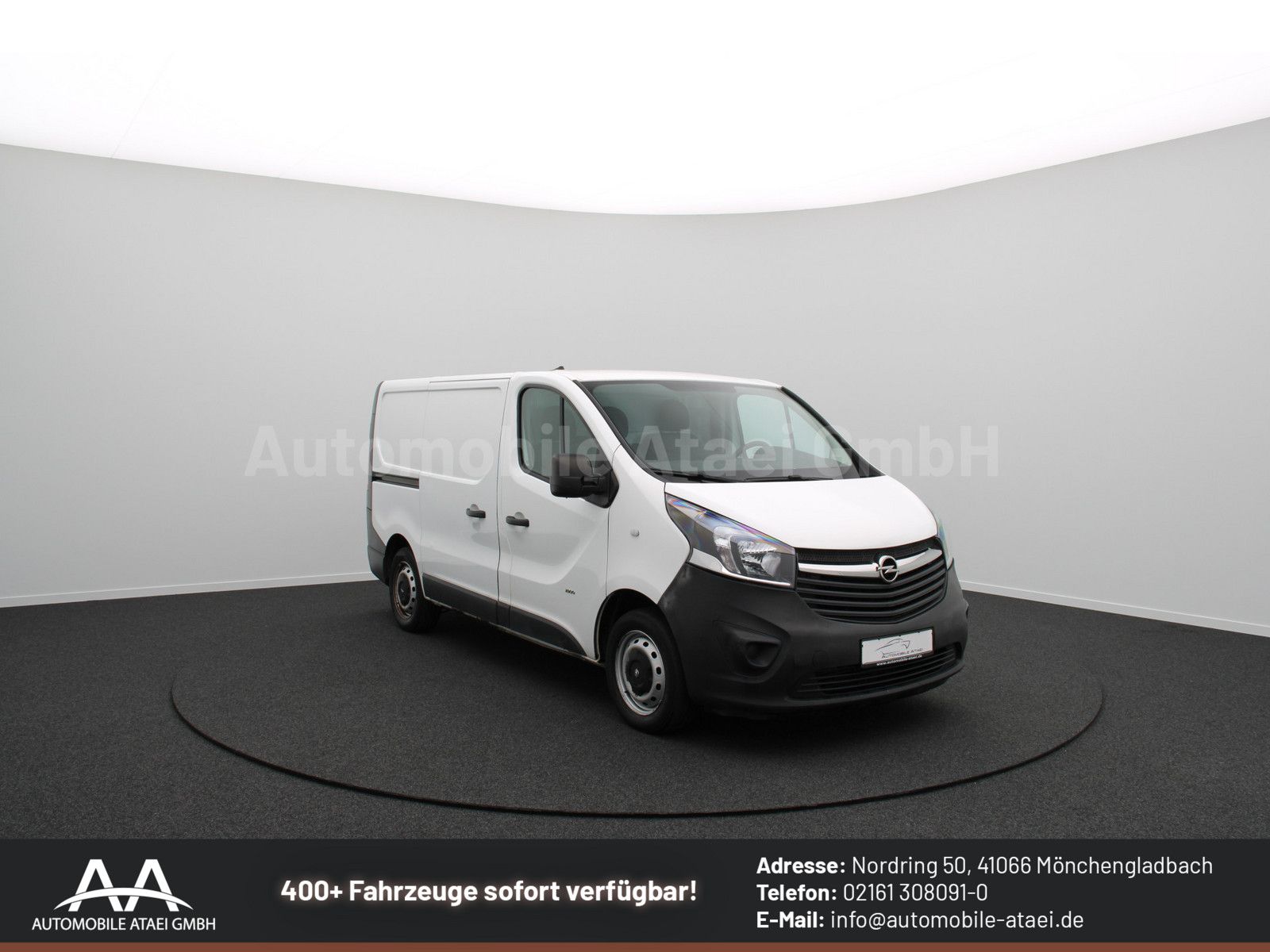 Fahrzeugabbildung Opel Vivaro Kasten L1H1 2,9t 8075