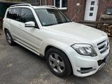 Mercedes-Benz GLK 250 BlueTEC 4MATIC - AHK Euro6 - weiße Mercedes-Benz GLK 250