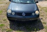 Volkswagen VW Polo 1.9 SDI - Volkswagen Polo mit Diesel-Antrieb: Kleinwagen, Sdi