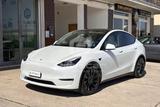 Tesla TESLA Model Y Performance AWD - Tesla Model Y Kombi Gebrauchtwagen