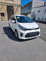 Kia Picanto Edition 7 - Kia Picanto in Bielefeld