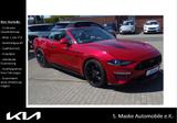 Ford Mustang 5.0 GT Convertible 50 J.Edition - Ford Mustang: Edition
