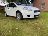 Fiat Punto 1.2 8V -