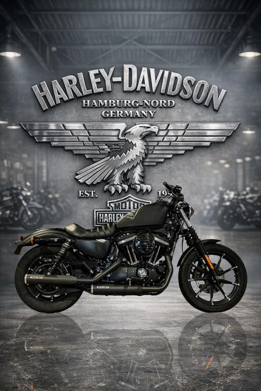 Harley-Davidson XL883N Sportster IRON 883 MILLER