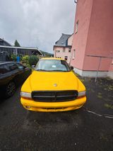 Dodge Dakota V6 3,9l LPG  - Dodge Dakota: V6