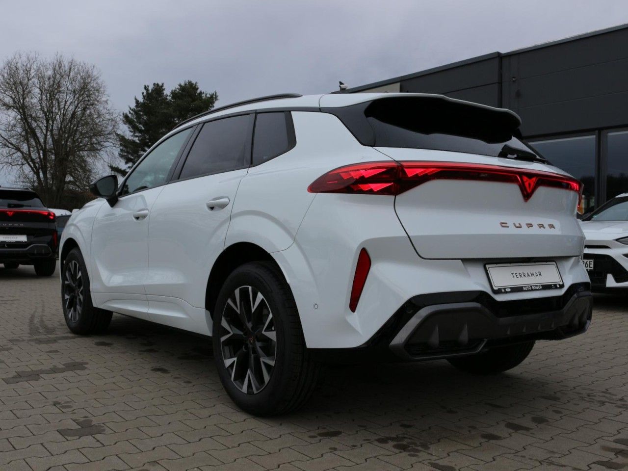 Fahrzeugabbildung CUPRA Terramar 1.5 eTSI PS DSG