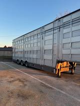 Pezzaioli SBA31   3+3 Deck Livestock Transport Trailer  - Pezzaioli LKWs