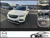Opel Grandland X Innovation Pano Leder - Opel Grandland (X): Weiß