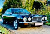 Jaguar XJ12 SERIE III SCHWARZ / LEDER SCHWARZ - Jaguar: Iii