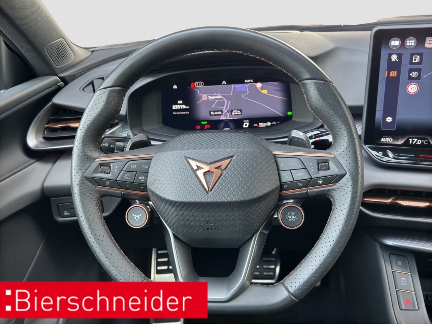 Cupra Terramar - Bild 14