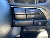 Mazda CX-30 - Vorschau Bild 34