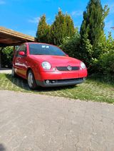 Volkswagen VW Lupo 1,4 16V TÜV Juni 26 - Volkswagen Lupo: 16v