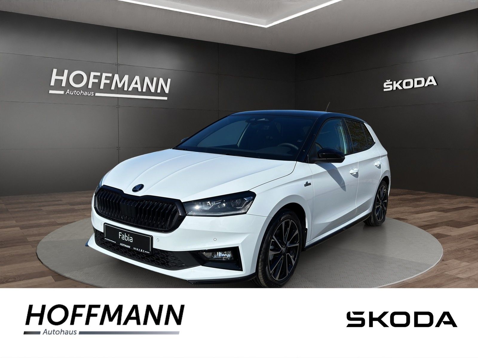 Fahrzeugbild von Skoda Fabia