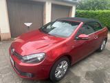 Volkswagen Golf 1.6 TDI LIFE Cabriolet LIFE - Volkswagen Golf mit Diesel-Antrieb: Cabrio, 1.6