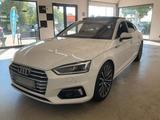 Audi A5 Sportback 40 TDI sport - Audi A5: Weiß, Sportback