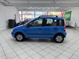 Fiat Panda 1.2 8V Dynamic *TÜV*KLIMA* - Fiat Panda Gebrauchtwagen in Bielefeld
