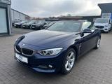 BMW 428 i xDrive Luxury Cabrio Bi-Xenon Automatik - BMW 428: 428i