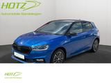 Skoda Fabia 1.5 TSI DSG Monte Carlo Rückkam/Tempo/Mult - Skoda Fabia R5
