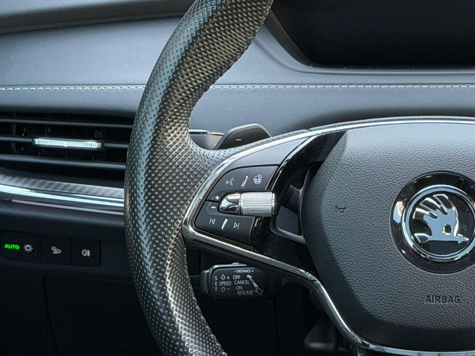 Fahrzeugabbildung SKODA Enyaq Coupé RS MAXX*360Kamera*CrystalFace*LEDER