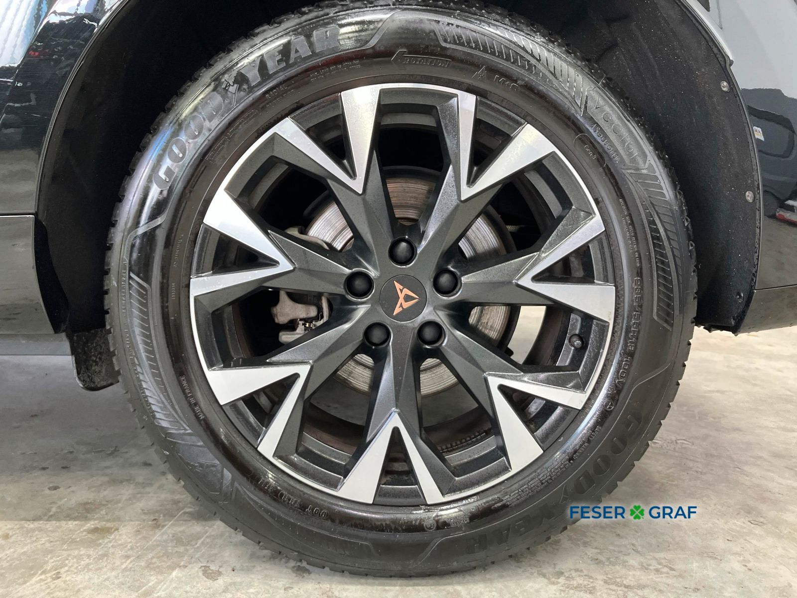 Cupra Terramar - Bild 5