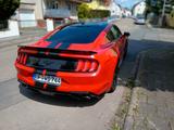 Ford Mustang 2.3 EcoBoost Auto -Shelby Virtual - Ford Mustang Gebrauchtwagen in Frankfurt
