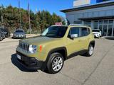 Jeep Renegade 2.0 Mjt 140CV 4WD Limited - 2015 - Jeep Renegade: Grün