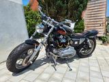Harley-Davidson Sportster XL2 1000 CCM - HARLEY-DAVIDSON XL 1000