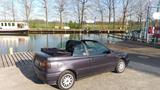 Volkswagen VW Golf III Cabriolet TDI Leder el. HF el.... - Volkswagen Golf: Iii TDI