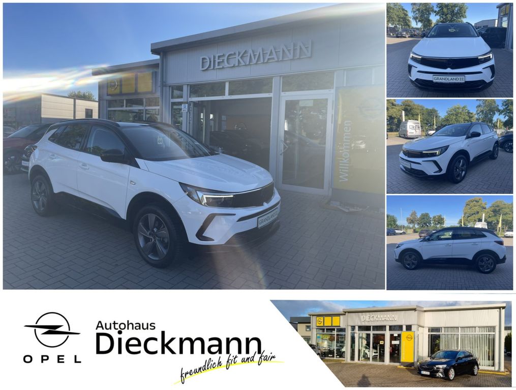 Image of Opel Grandland (X)