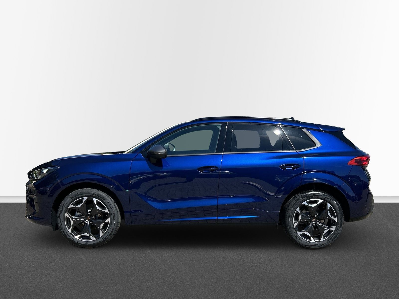 Cupra Terramar - Bild 2