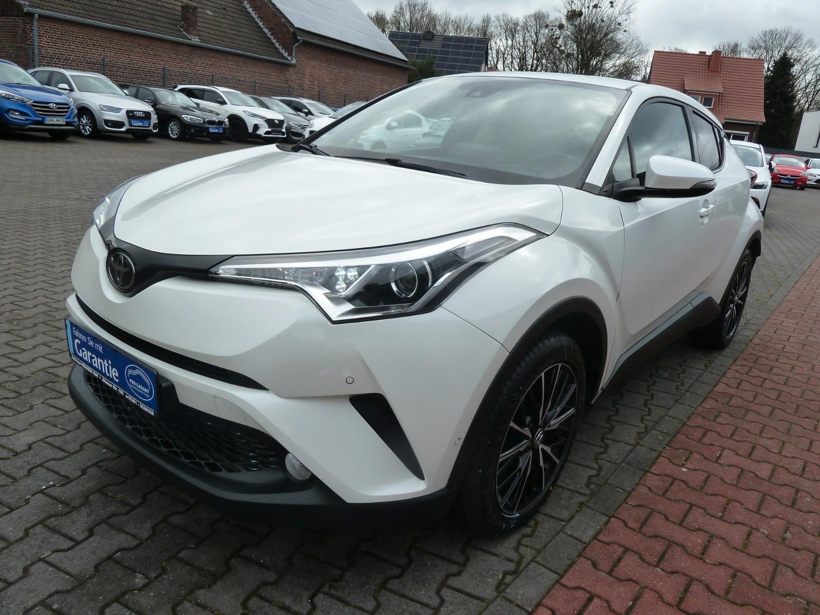 Toyota C-HR Team D