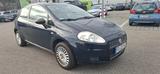 Fiat Punto 1.2 8V - - Fiat Punto in Freiburg