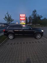 Audi Q7 3.0 TDI (DPF) quattro  - Audi Q7 aus 2010: TDI