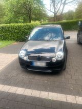 Volkswagen Lupo gti 16 v mit komplett überholten Motor - Volkswagen Lupo: GTI