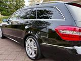 Mercedes-Benz E 350 CDI T BlueEFFICIENCY AVANTGARDE AVANTGARDE - Mercedes-Benz E 350: Cdi Avantgarde